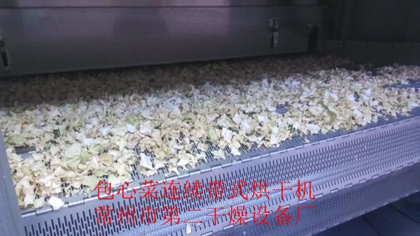 DWD belt dehydrated vegetable dryer