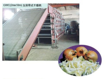 GWC series multilayer belt type through flow dryer